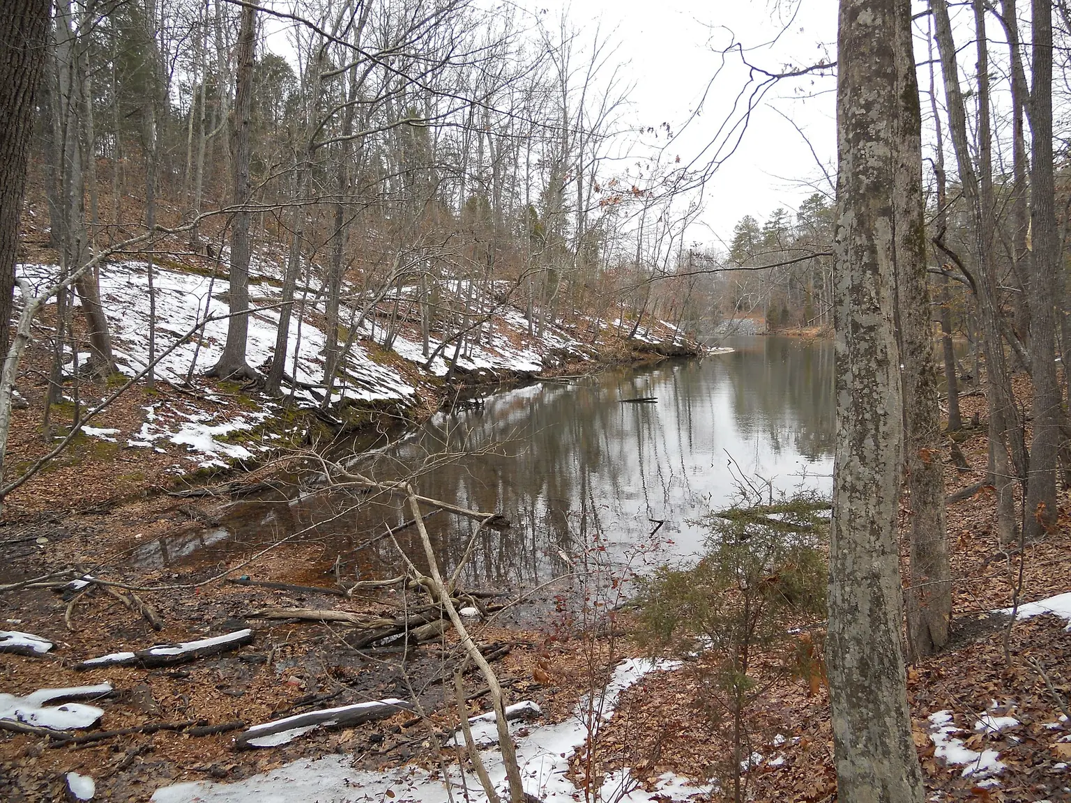 A quiet cove of Lake Wylie at McDowell Nature Preserve — Accessibility remodeling in Lake Wylie: Creating homes for everyone