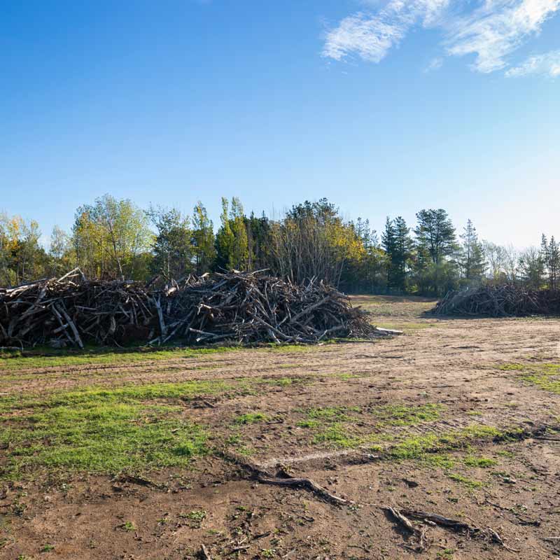 Land clearing Solutions in Lake Wylie, SC | Cooper Development Group