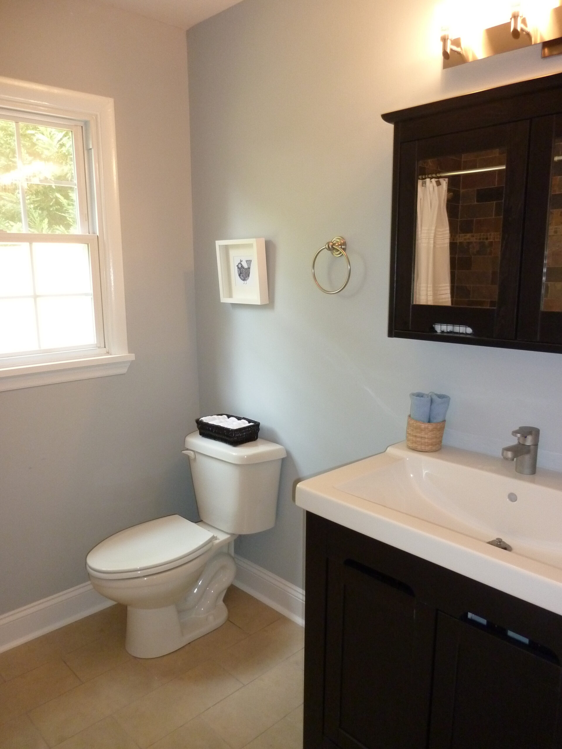Custom Home Projects in Lake Wylie, SC | Cooper Development Group Bath 6 After