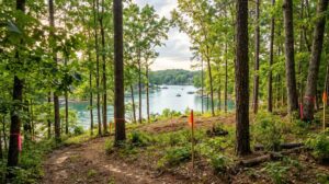 Buying Land for a Custom Home in Lake Wylie, SC: Lot Evaluation Guide | Custom Home Builder | Custom Home Builder in Lake Wylie, SC